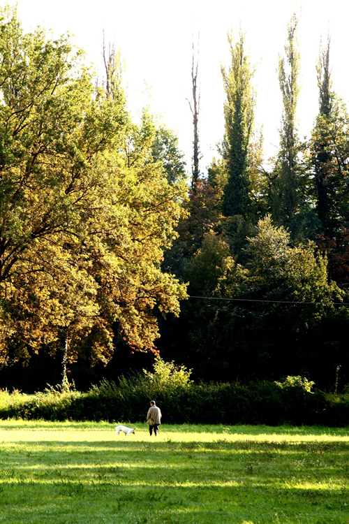 Passeggiate
